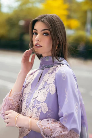 Dhanak 3PC Chikankari Embroidered With Pashmina Wool Shawl-117