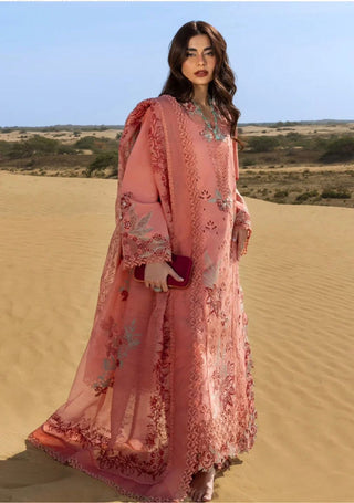 Dhanak-3PC Embroidered Shirt with Digital Printed Wool Shawl - 6364